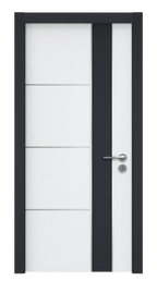 FGV24